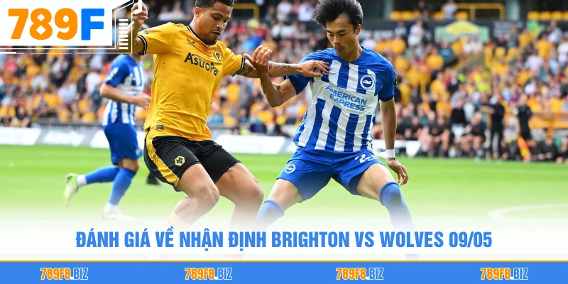Đánh giá về nhận định Brighton vs Wolves 09/05