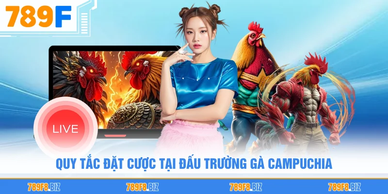 Quy tắc đặt cược tại đấu trường gà Campuchia